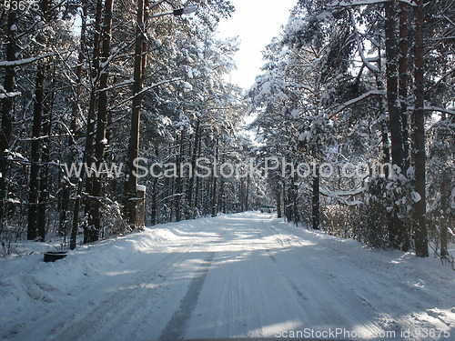 Image of Winter road