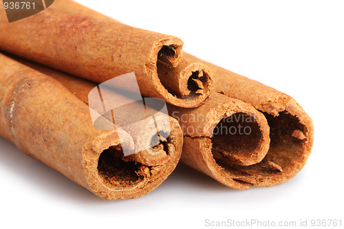 Image of Cinnamon sticks