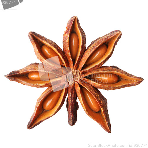 Image of Star anise 