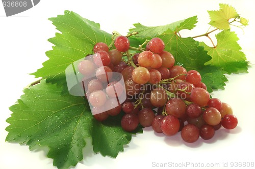 Image of red grapes