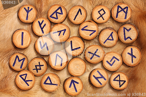 Image of Runes on the fur