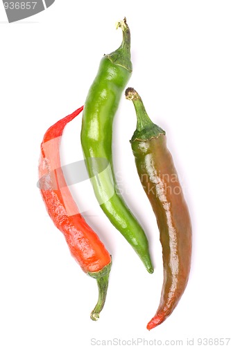 Image of Three chili peppers