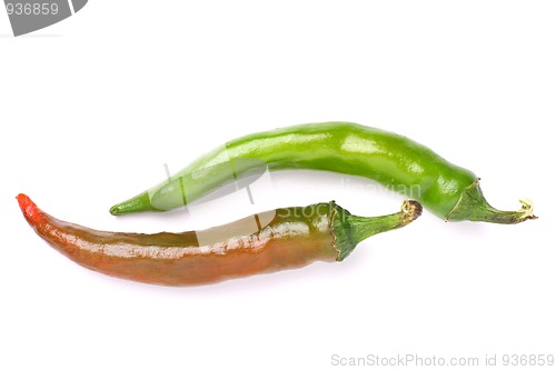 Image of Two chili peppers
