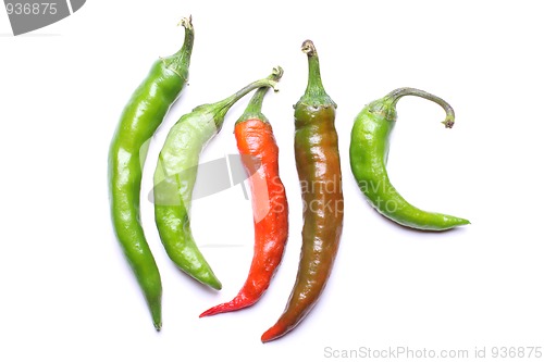 Image of Hot chili peppers
