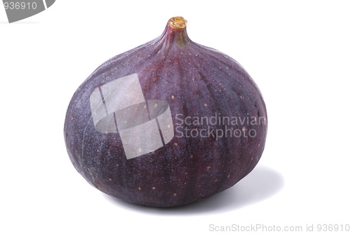 Image of Fresh fig