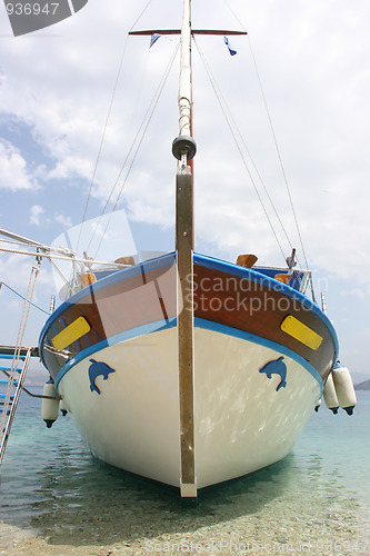 Image of Little crouser on beach