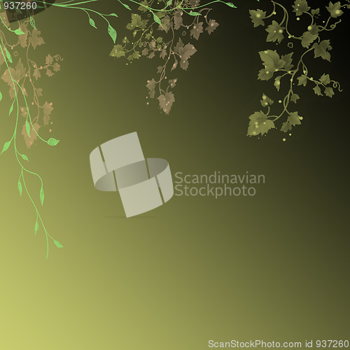 Image of Abstract background of green leaves