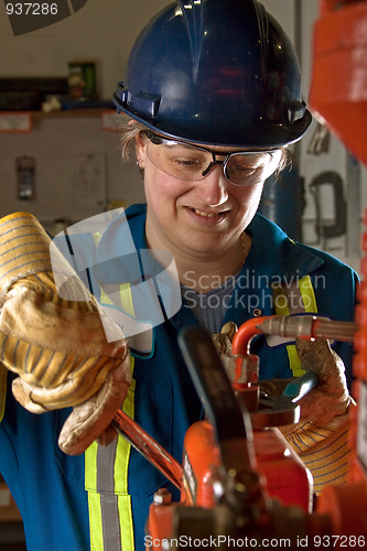 Image of Woman working in Shop