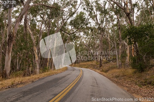 Image of Curving road