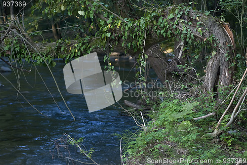 Image of mountain river 