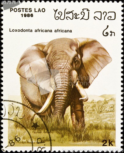 Image of African elephant stamp.