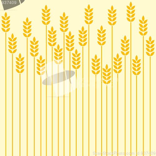 Image of Wheat