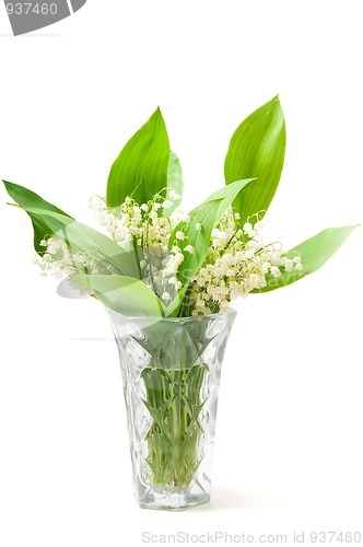 Image of Lilies on the vase