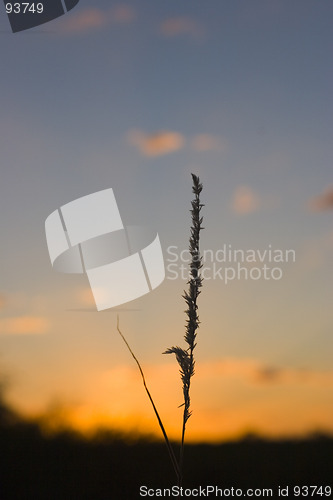 Image of African sunset