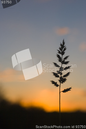 Image of African sunset