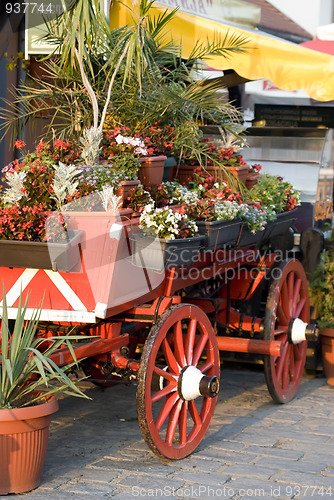 Image of flower coach