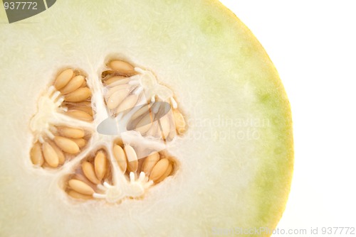 Image of Melon