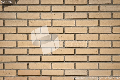 Image of Brick wall
