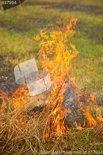 Image of Burning dry grass