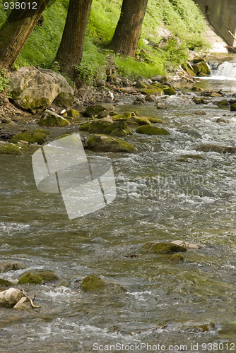 Image of river in Serbia