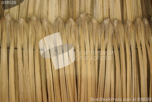 Image of nature roof