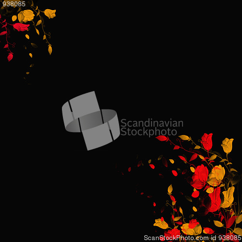 Image of  roses floral on black background
