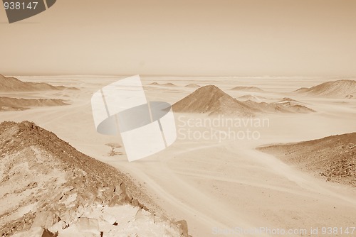 Image of Desert landscape