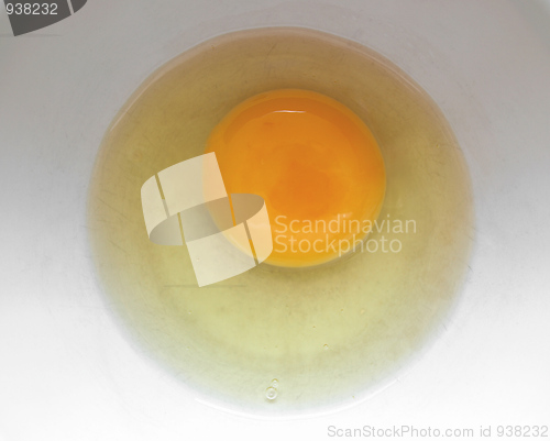 Image of Egg