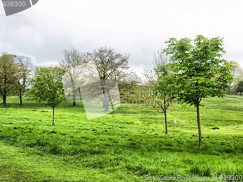 Image of Primrose Hill, London