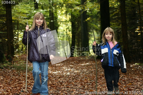 Image of walking in the forest