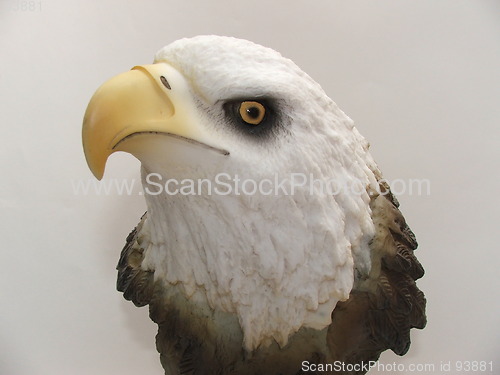 Image of Eagle Eye