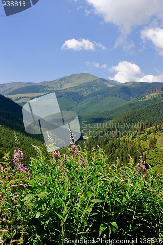 Image of Mountainous landscape