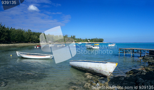 Image of Lagoon at low tide Mauritius Island