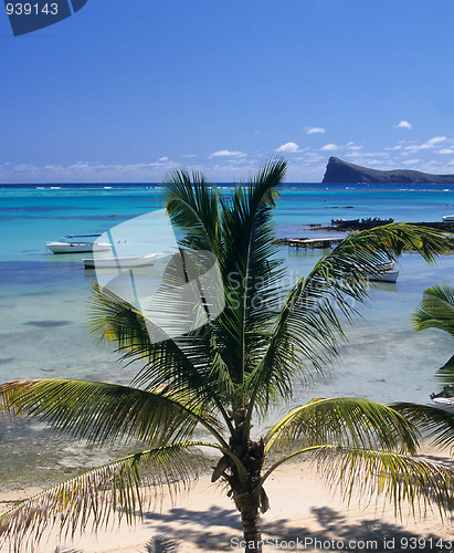 Image of Palm tree and lagoon Mauritius Island