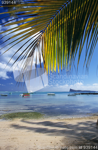 Image of Beach at Cape Malheureux Mauritius Island