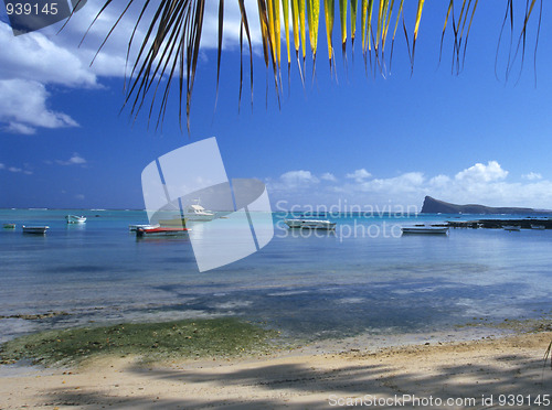 Image of Beach Cape Malheureux Mauritius Island
