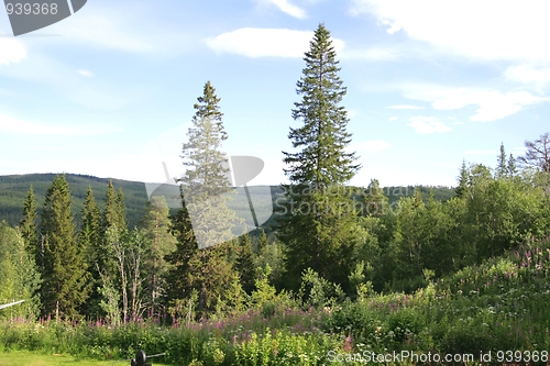 Image of Rural landscape