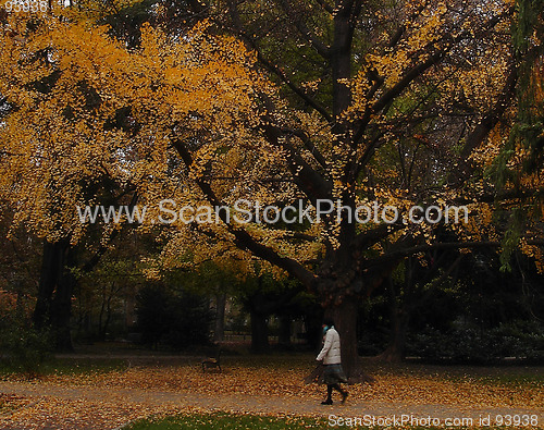 Image of Autumn 2