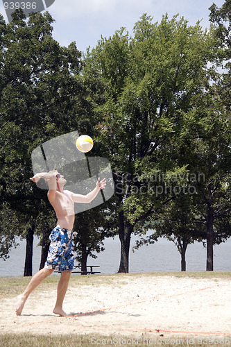 Image of Volleyball