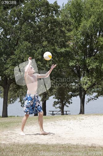 Image of Serving Volleyball