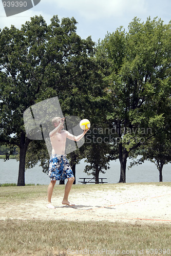 Image of Volleyball Player