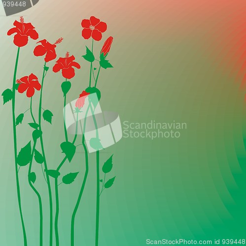 Image of Creative design hibiscus flowers background