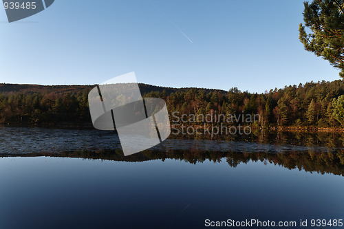 Image of Fall