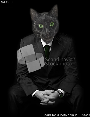 Image of Businessman with black cats face.