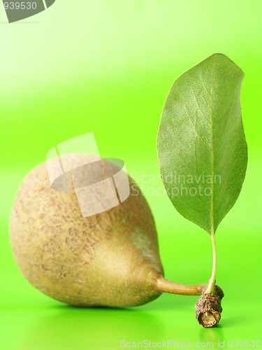 Image of Pear