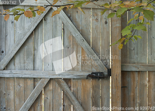 Image of Early Autumn Fence Gate