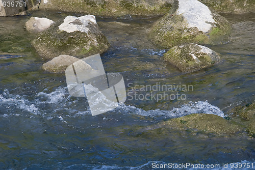Image of Gradac