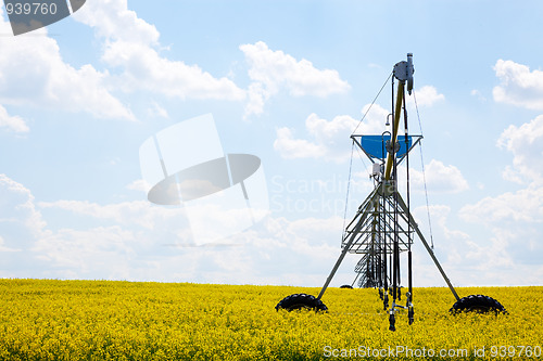 Image of Pivot in Canola Field