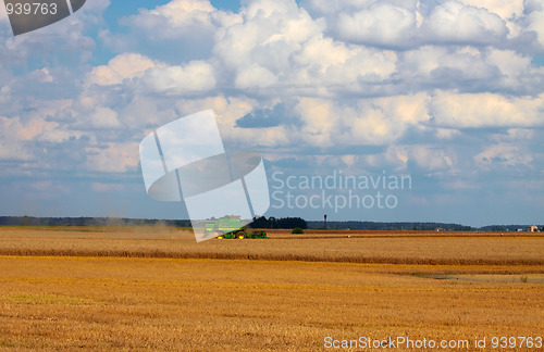 Image of Harvesting season