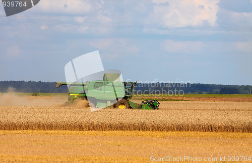 Image of Harvesting season